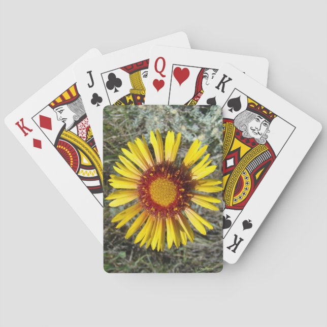 Jeu De Cartes F1 Fleur sauvage jaune Gaillardia (dos)