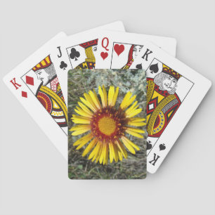 Jeu De Cartes F1 Gaillardia fleur sauvage jaune