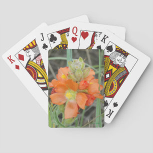 Jeu De Cartes F40 Fleurs sauvages orange Malope à fleurs rouges