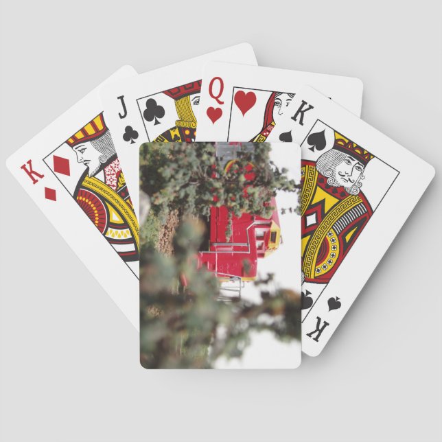 Jeu De Cartes Fabuleux train dans les arbres (dos)