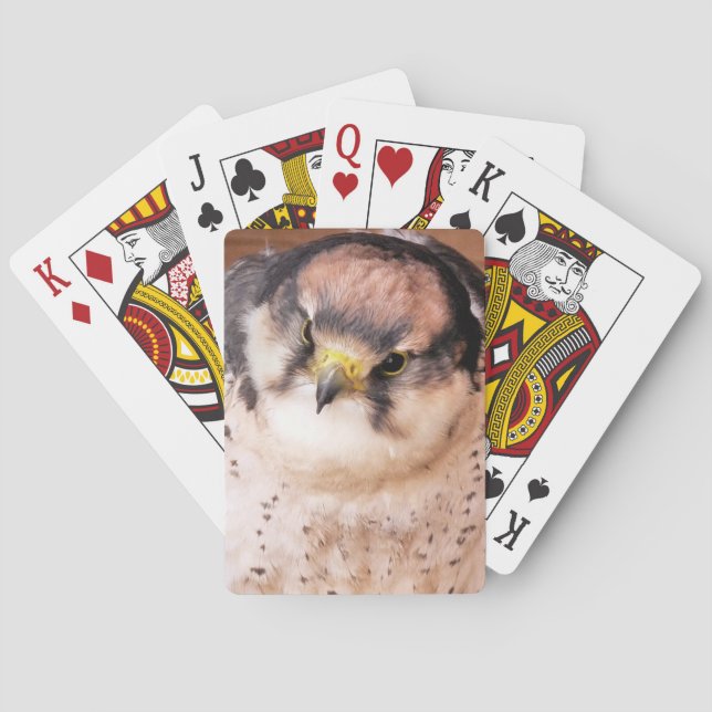 JEU DE CARTES FALCON BIRD DE PREY (dos)