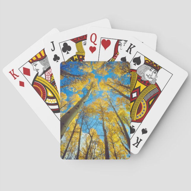Jeu De Cartes Fall colors of Aspen trees 2 (dos)