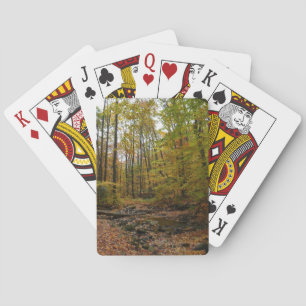 Jeu De Cartes Fall Creek à Laurel Hill State Park Pennsylvania