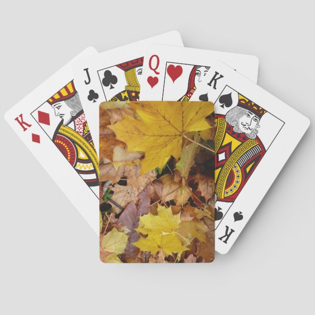 Jeu De Cartes Fallen Maple Feuille Jaune Automne Nature (dos)