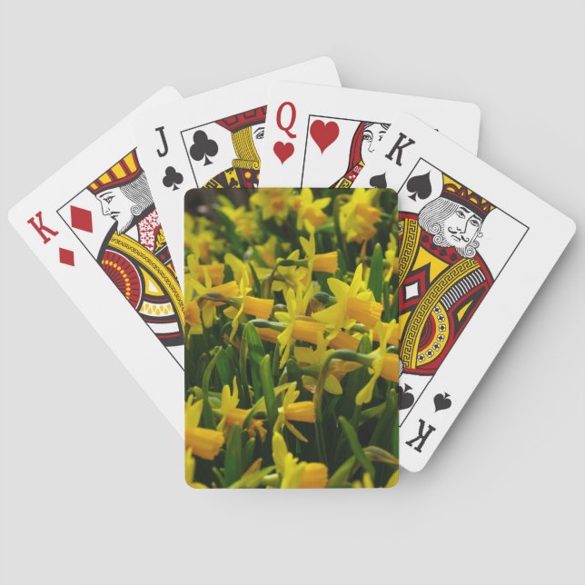 Jeu De Cartes Famille Daffodil (dos)