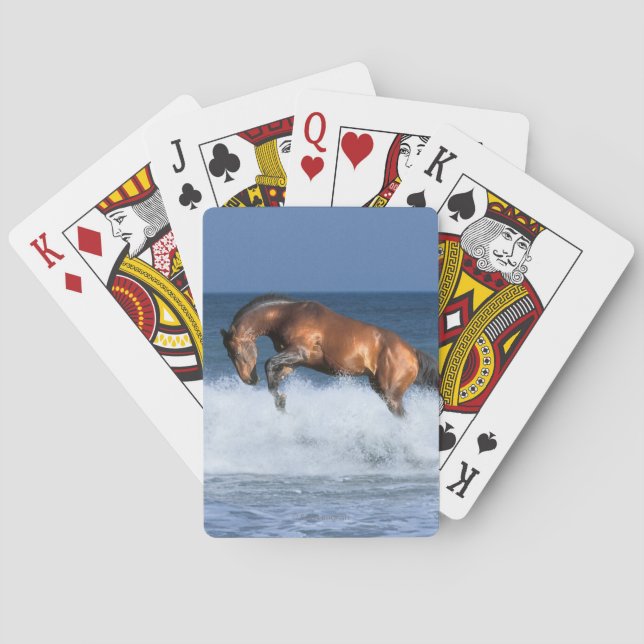 Jeu De Cartes Fantasy Horses Selle Francais (dos)