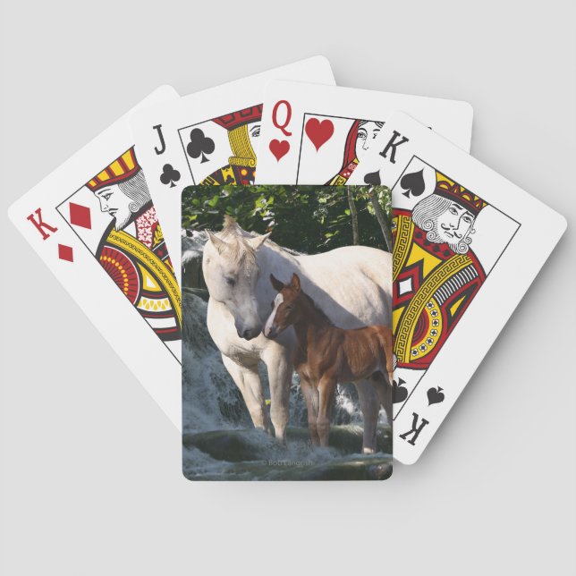 Jeu De Cartes Fantasy Horses Waterfall (dos)