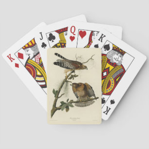 Jeu De Cartes Faucon à épaulettes - Audubon's Birds of America