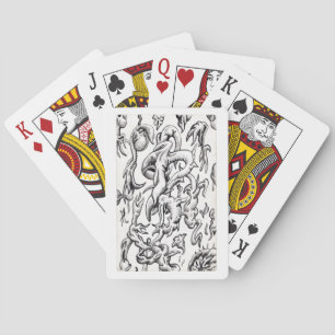 Jeu De Cartes Faune d'Airbourne, par Brian Benson