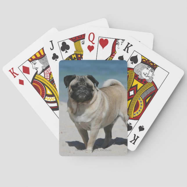 Jeu De Cartes Fawn Pug (dos)