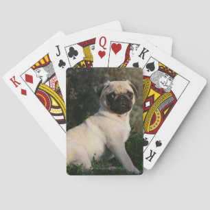 Jeu De Cartes Fawn Puppy