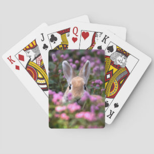 Jeu De Cartes Ferme de lapin