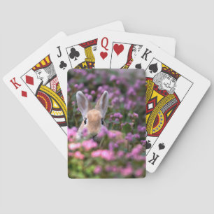 Jeu De Cartes Ferme de lapins