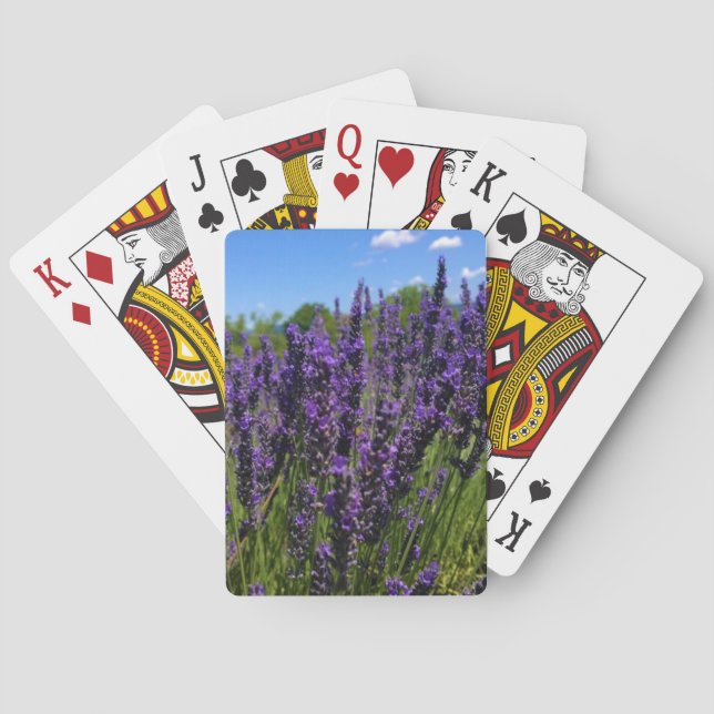 Jeu De Cartes Ferme de Lavender (dos)