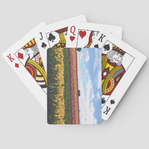 Jeu De Cartes Ferme de tulipes Wooden Shoe, Woodburn, Oregon