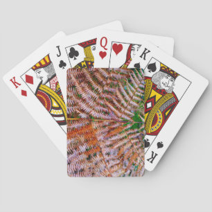 Jeu De Cartes Fermes des bois