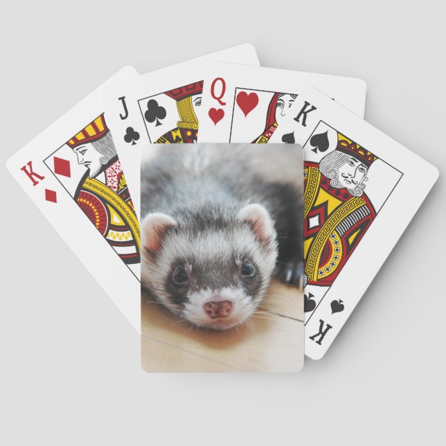 Jeu De Cartes Ferret Cute Sable (dos)