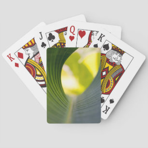 Jeu De Cartes Feuille de bananier