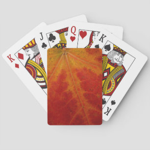 Jeu De Cartes Feuille d'érable rouge Abstraite Automne Photograp
