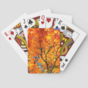 Jeu De Cartes Feuille orange