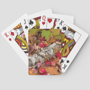 Jeu De Cartes Feuilles de érable d'automne couvrent l'écorce de