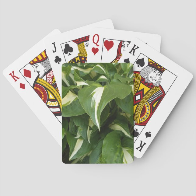 Jeu De Cartes Feuilles d'hosta (dos)