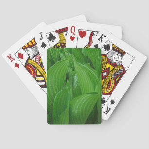Jeu De Cartes Feuilles Hosta avec Raindrops Jouer des cartes