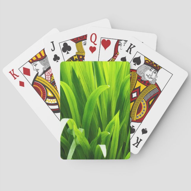 Jeu De Cartes Feuilles rétro-éclairées dans un jardin (dos)