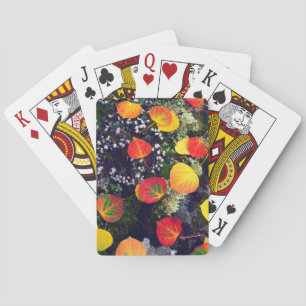 Jeu De Cartes Feuilles sur un rocher recouvert de lichen, Montag