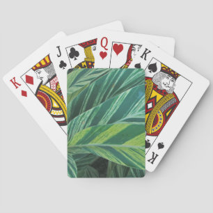 Jeu De Cartes Feuilles tropicales rayées feuillage vert tropique