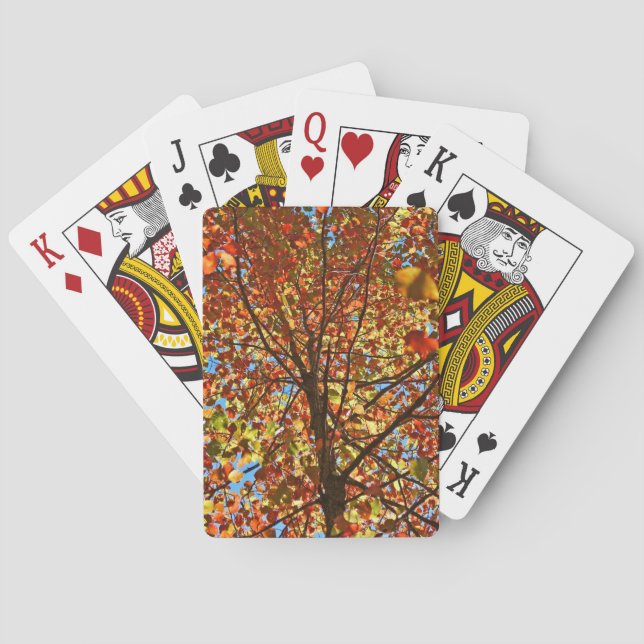 Jeu De Cartes Feux d'artifice de feuilles d'automne (dos)
