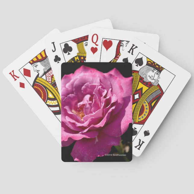 Jeu De Cartes -Fin rose de visage d'ange (dos)
