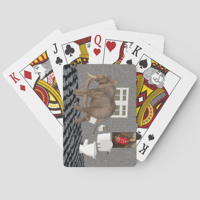 Jeu De Cartes Finally Housebroken (dos)
