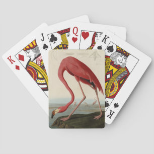 Jeu De Cartes Flamant rose américain d'Audubon's Birds of Americ