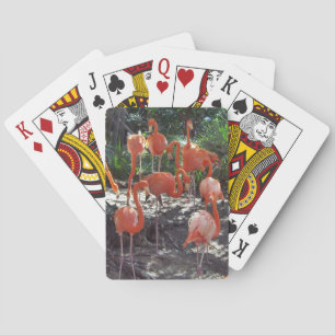 Jeu De Cartes Flamants roses roses