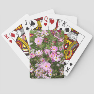 Jeu De Cartes Fleur Cosmos (Bidens Formosa). Kirkwood