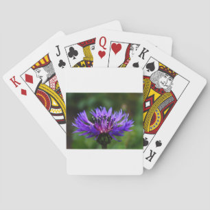 Jeu De Cartes Fleur de Bleuet Fleurs de la Paix Amour Destinée