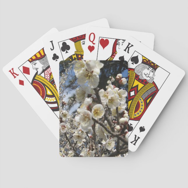 Jeu De Cartes Fleur de cerisier blanc / Sakura / ク(桜) (dos)