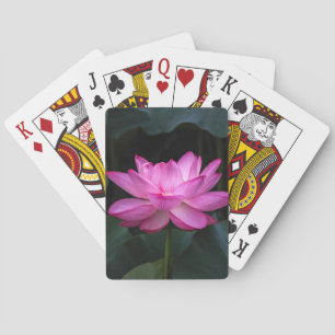 Jeu De Cartes Fleur de Lotus