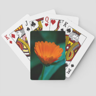 Jeu De Cartes Fleur de marguerite orange