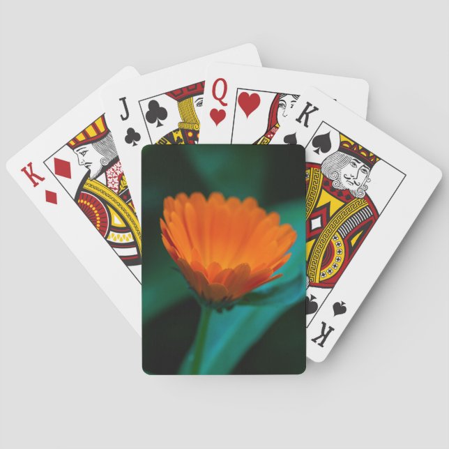 Jeu De Cartes Fleur de marguerite orange (dos)