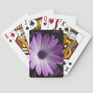 Jeu De Cartes Fleur de marguerite violet Jouer aux cartes
