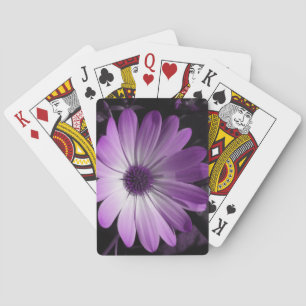 Jeu De Cartes Fleur de marguerite violette Jouer des cartes