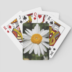 Jeu De Cartes fleur populaire, jolie marguerite sauvage blanche