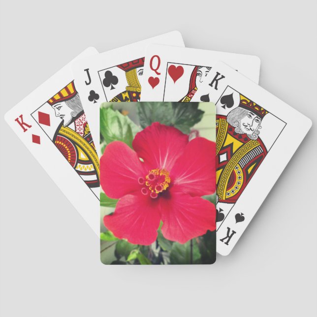 Jeu De Cartes Fleur rouge de Hibiscus Rosa-sinensis (dos)