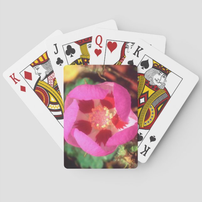 Jeu De Cartes Fleur sauvage Desert Five Spot (dos)