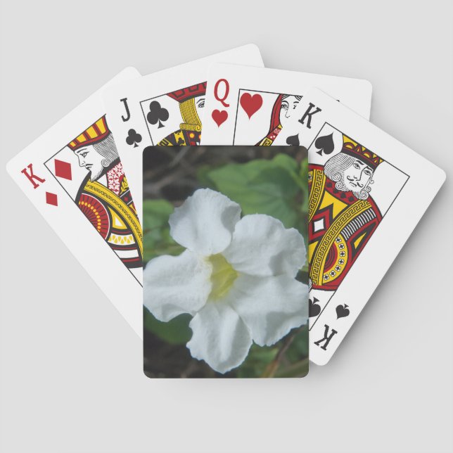 Jeu De Cartes Fleur tropicale blanche trouvée à Fidji (dos)