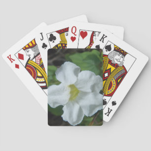 Jeu De Cartes Fleur tropicale blanche trouvée à Fidji