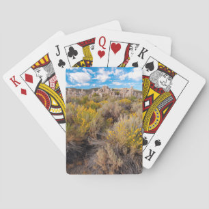 Jeu De Cartes Fleurs Blooming Sagebrush Californie