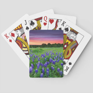 Jeu De Cartes Fleurs   Bluebonnets à Sunset Texas